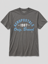 Camiseta Para Hombre Aero Level 2 Graphic Tees Smoked Pearl 6234