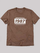 Camiseta Para Hombre Aero Level 1 Graphic Tees Hot Chocolate 6241