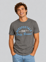 Camiseta Para Hombre Aero Level 2 Graphic Tees Smoked Pearl 6234