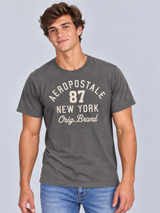Camiseta Para Hombre Aero Level 2 Graphic Tees Smoked Pearl 6295