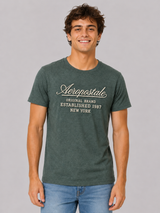 Camiseta Para Hombre Aero Level 2 Graphic Tees Green Gables 6250