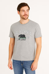 Camiseta Para Hombre Aero Level 2 Graphic Tees Lightest Heather Grey 6123