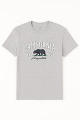 Camiseta Para Hombre Aero Level 2 Graphic Tees Lightest Heather Grey 6123