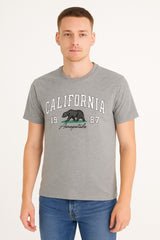 Camiseta Para Hombre Aero Level 2 Graphic Tees Lightest Heather Grey 6123