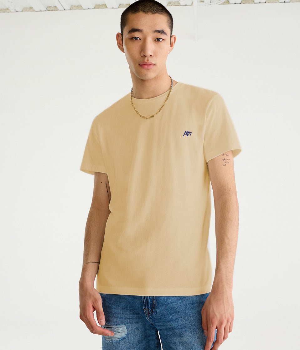 Camiseta Básica Para Hombre Aero Guys SS Tees Tofu 4240