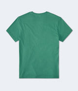 Camiseta Para Hombre Aero Guys Tees Bright Green 4240