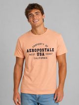 Camiseta Para Hombre Aero Level 2 Graphic Tees Papaya Punch 6258