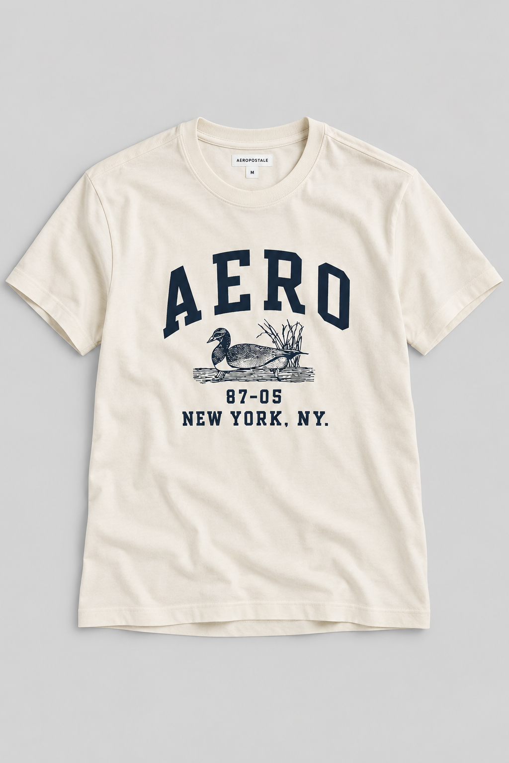 Camiseta Para Hombre Aero Level 1 Graphic Tees Birch 6214