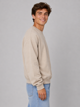 Buzo Para Hombre Aero Guys Popover Crew Neck Egret 1744