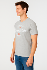 Camiseta Para Hombre Aero Level 1 Graphic Tees Light Heather Grey 7441